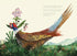 DON'T EAT ME! THE ALMOST TRUE STORY OF BELLADONNA - FINNEY. KATE; SHAPIRO. ESME